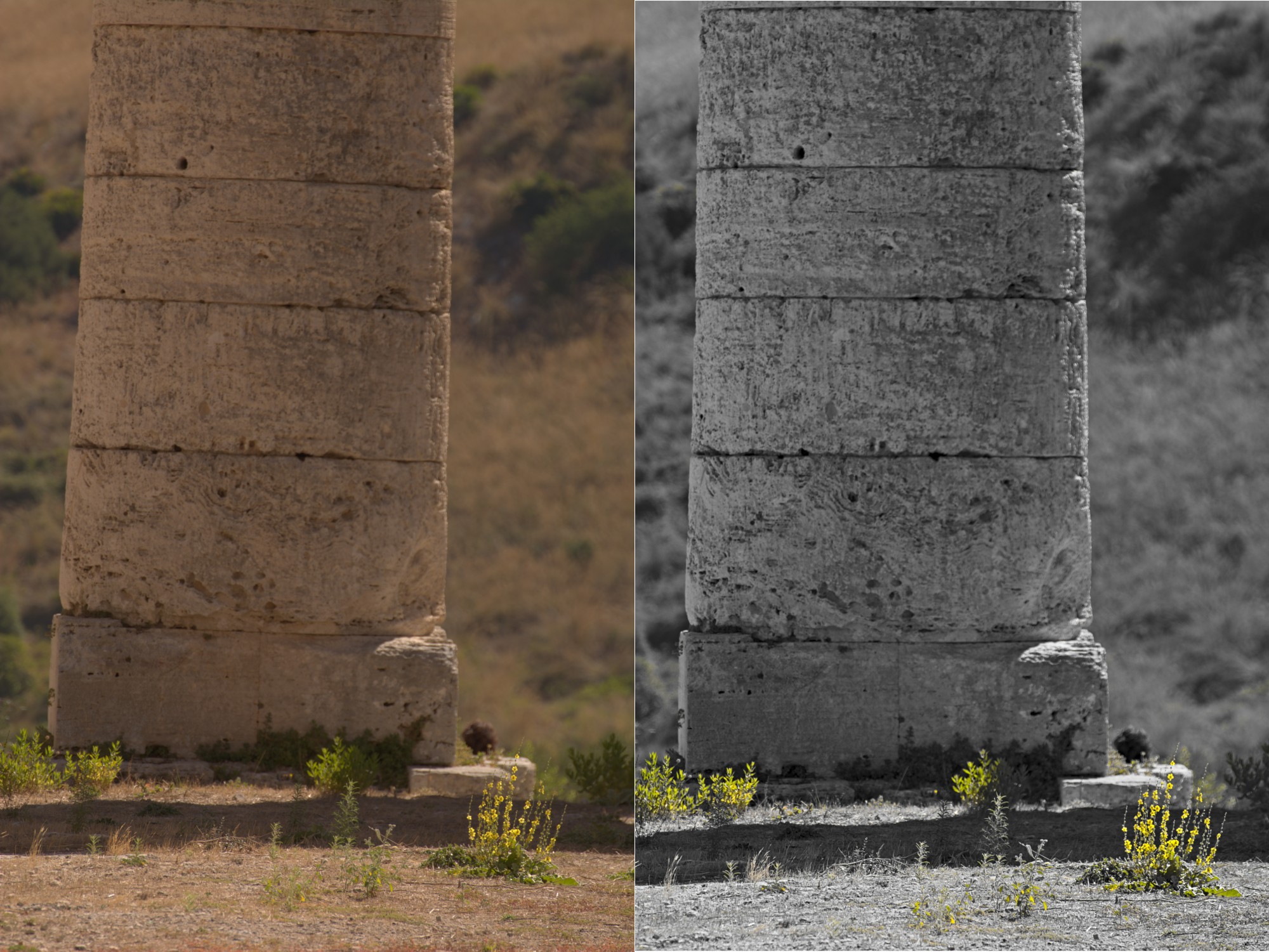 La base di una colonna di pietra con timidi fiori gialli