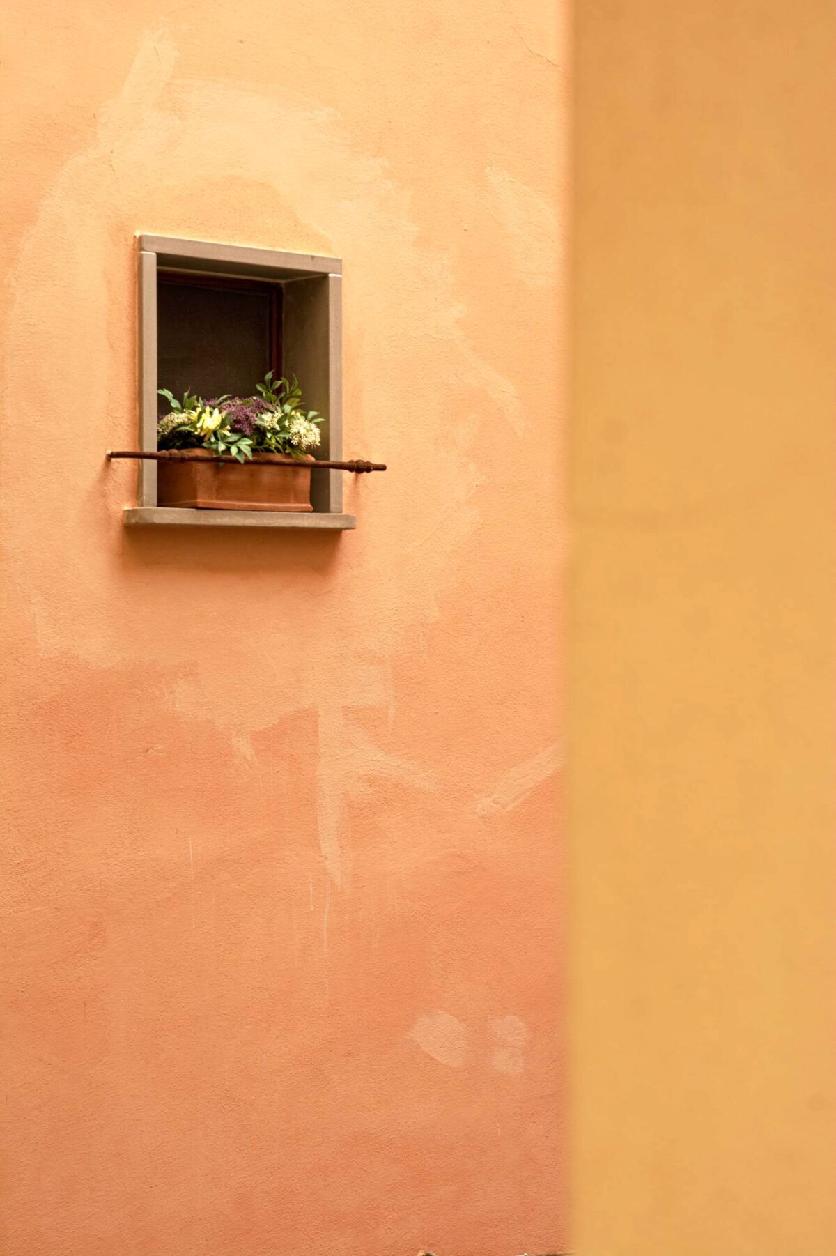 Una piccola finestra ornata con un vaso di fiori rompe la regolarità delle pareti colorate