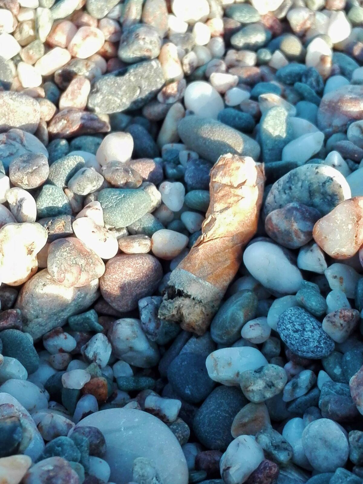 Un mozzicone di sigaretta cerca di mimetizzarsi in mezzo ad una graniglia di sassi estremamente variegata.