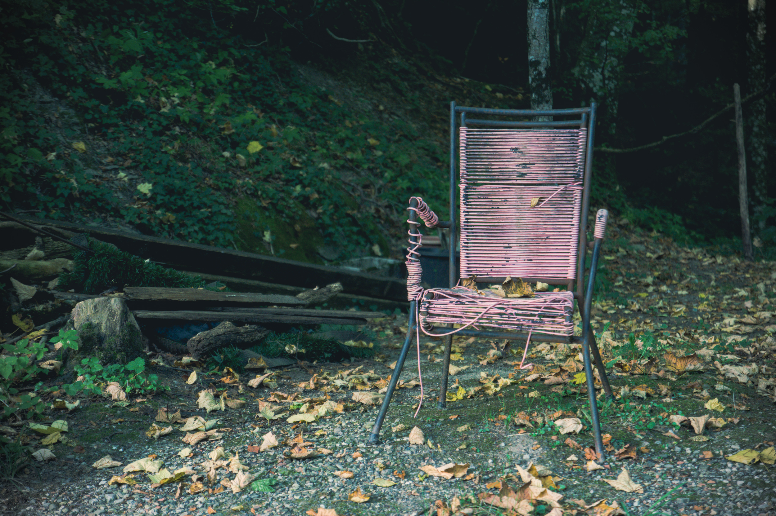 una vecchia sedia ai margini del bosco